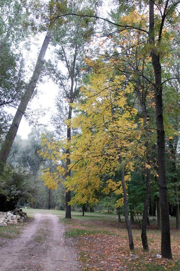 Kastelyszallo Mateszalka Bed & Breakfast Bagian luar foto